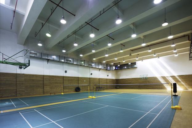 Hoe helpt de BOSA subsidieregeling sportclubs bij de overstap naar LED?